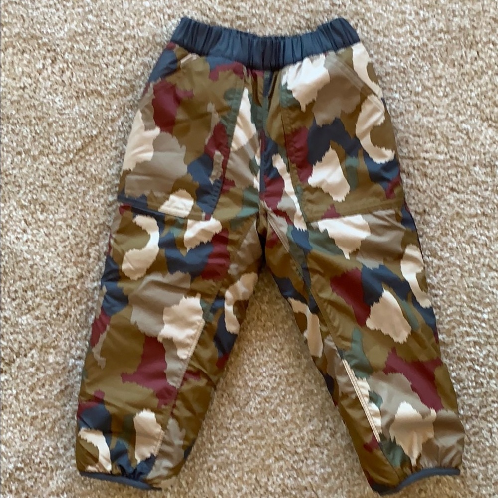 Patagonia 3T Reversible Tribbles Pants